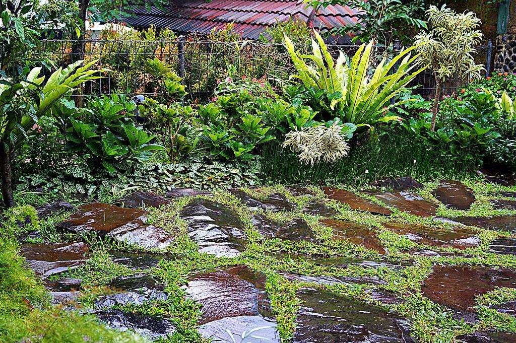 Holidayhome Alam Cipanas ปุนจัก ภายนอก รูปภาพ